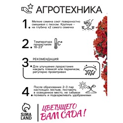 Семена Бальзамин «Супер Эльфин», F1, 10 шт., «Семена Алтая»