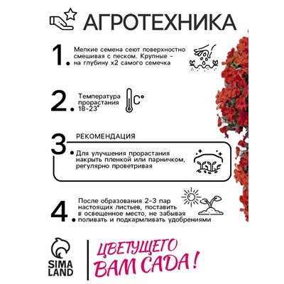 Семена Бальзамин «Супер Эльфин», F1, 10 шт., «Семена Алтая»