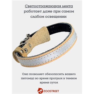 Ошейник, 35×1.5 см, с подкладом и светоотражающей лентой, кожа, бежевый