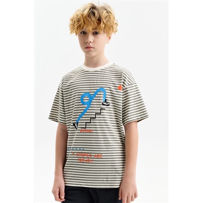 Футболка для мальчиков PELICAN, 1241605