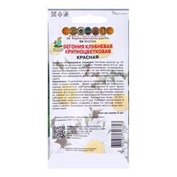 Семена цветов Бегония клубневая крупноцветковая, красная, 5 шт., «Поиск»