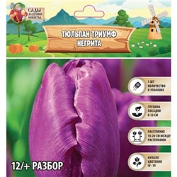 Тюльпан Триумф Негрита, р-р 12+, 5 шт, Весна 2025