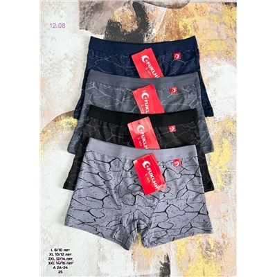 Боксеры 2 шт 1976574-4