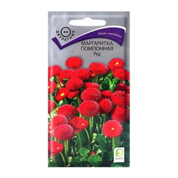 Семена цветов Маргаритка помпонная Ред, 0,05гр