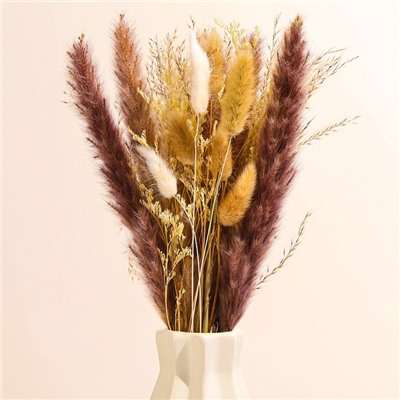 Сухоцветы «Лагурус», набор из 3 видов, 48×16×6 см