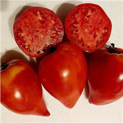 7021Т Томат Заилийский Алатау 10шт