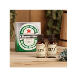 Новогодний набор эфирных масел «С Новым годом», в подарочной коробке, кедр, пихта, 2 шт. по 15 мл