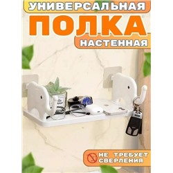 Полка #22817594
