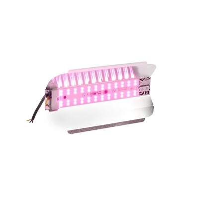 Фитопрожектор для растений Luazon Lighting СДО09-50, светодиодный, 50 Вт, IP65, 220 В, бескорпусный, мультиспектральный
