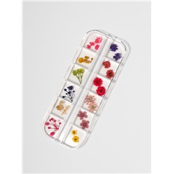 Сухоцветы для декора «Ассорти», объёмные, 12 видов, в футляре, разноцветные