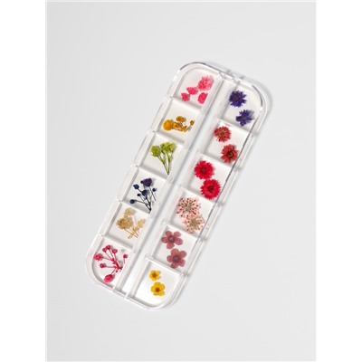 Сухоцветы для декора «Ассорти», объёмные, 12 видов, в футляре, разноцветные