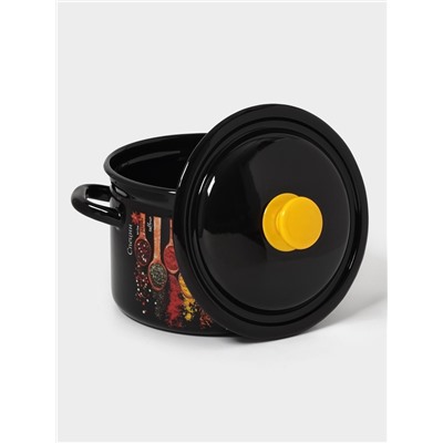 Кастрюля эмалированная «Карри», 4 л, d=21.3 см, с крышкой, цилиндрическая, чёрная