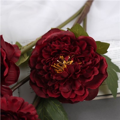 Цветы искусственные «Эустома Розанна», h=70 см, бордовые