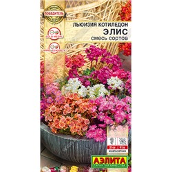 2016A Льюизия котиледон Элис, смесь сортов 5шт