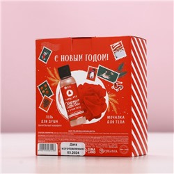 Подарочный набор новогодний «Счастливого праздника», гель для душа 100 мл и мочалка для тела, Чистое счастье
