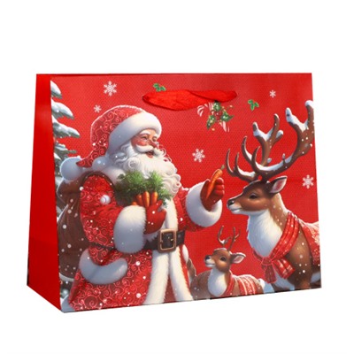 Пакет подарочный Новый год 23х18х9 / 1655-1 /уп 12/720/210г/м2