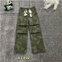 штаны с начесом 2054505-3