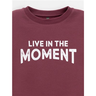 CROCKID Свитшот КР 302802