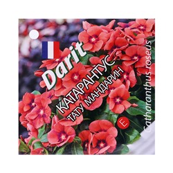 Семена цветов Катарантус "Тату Мандарин", 7 шт
