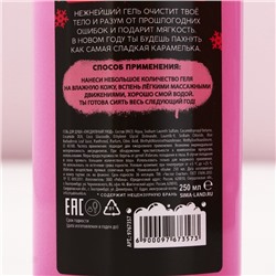 Новогодний подарочный набор косметики «Чистой кисе», гель для душа 250 мл и ежедневник, 18+, Чистое счастье