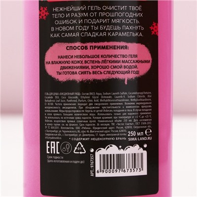 Новогодний подарочный набор косметики «Чистой кисе», гель для душа 250 мл и ежедневник, 18+, Чистое счастье