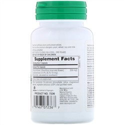 Nature's Plus, Растительная активность, пассифлора, 250 мг, 60 вегетарианских капсул