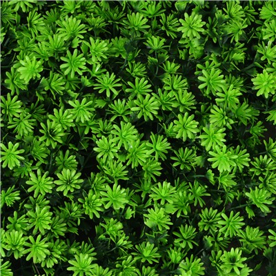 Декоративная панель, 50×50 см, «Высокий мох», Greengo