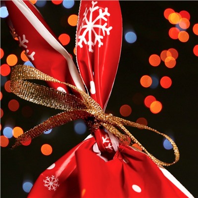 Пакет полиэтиленовый подарочный новогодний, с ушками Friends, 13×22 см