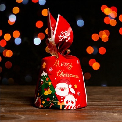 Пакет полиэтиленовый подарочный новогодний, с ушками Friends, 13×22 см