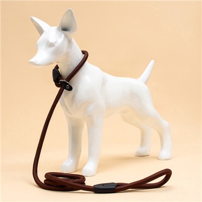 Ринговка для собак, 130×1 см, коричневая