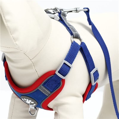 Комплект Sport+, L, поводок 120×1.5 см, ОШ 49-56 см, ОГ 56-68 см, вес животного 20-28 кг, синий 9