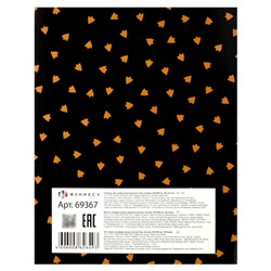 Тетрадь-словарик для записи иностр. слов А5+ 48л "КРЯКАЮЩИЕ УТКИ" клетка 69367 Феникс