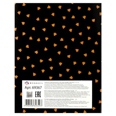 Тетрадь-словарик для записи иностр. слов А5+ 48л "КРЯКАЮЩИЕ УТКИ" клетка 69367 Феникс