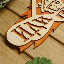 Табличка для бани и сауны «Иди в баню», 37.5×15 см, «Добропаровъ»