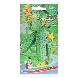 Семена Огурец «Молодец», 8 шт., «Уральский Дачник»