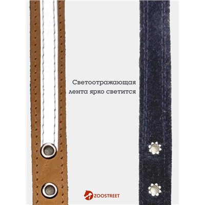 Ошейник, 35×1.5 см, с подкладом и светоотражающей лентой, кожа, бежевый