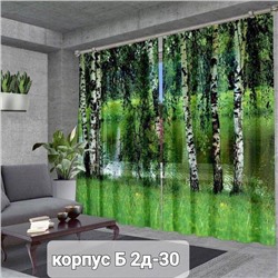 Портьеры с принтом, 3*2,6 см (без тюля)
