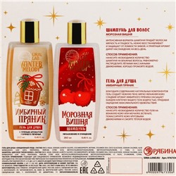 Подарочный набор «Мечты сбудутся», гель для душа и шампунь для волос, 2×250 мл, URAL LAB