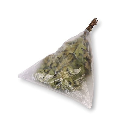 Веник для бани, дубовый, в пакете