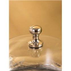 Тортовница со стеклянной крышкой «Звёзды», 21×21×23 см, алюминий