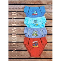 Трусы для мальчика Berrak