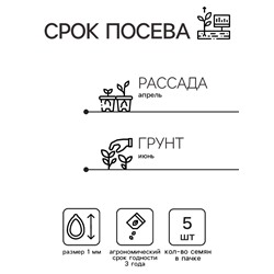 Семена цветов Ковыль "Фейерверк", 5 шт.