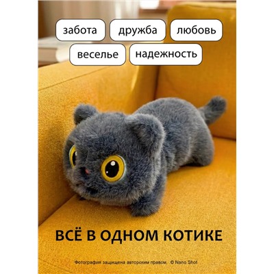 Котик мягкая игрушка, 40 см