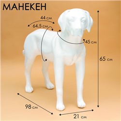 Манекен собаки, стоячий, разборный, фибергласс, белый