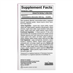Natural Factors, BioCoenzymated, B12, Methylcobalamin & Dibencozide, 3,000 mcg, 30 Chewable Tablets
