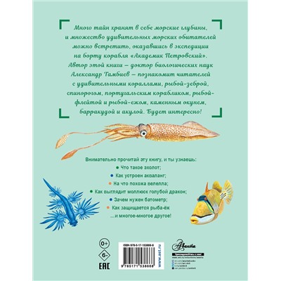 АСТ Тамбиев А.Х. "Как увидеть морское дно?"
