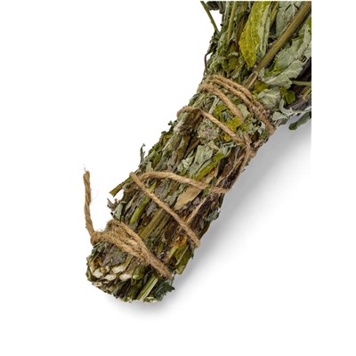 Веник для бани, мята, 45 (± 5 см), «Добропаровъ»