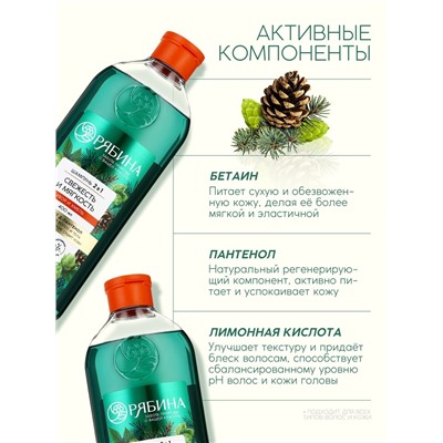 Мужской шампунь 2 в 1, 400 мл