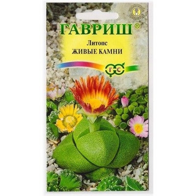 Литопс Живые камни (Код: 13166)