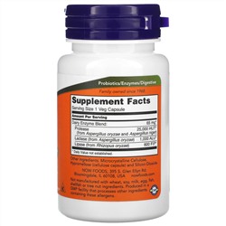 Now Foods, Dairy Digest Complete, комплекс для усвоения и расщепления молочных продуктов, 90 вегетарианских капсул